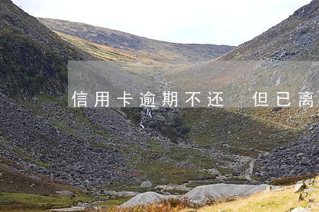 信用卡逾期不还 但已离婚 信用卡逾期不还 但已离婚